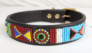 Beaded Dog Collars